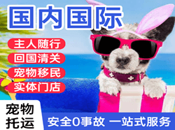 临沧博尚空运公司国际宠物托运 【国